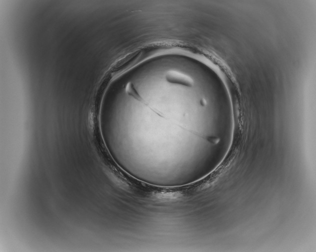 X0000113580063200909181315