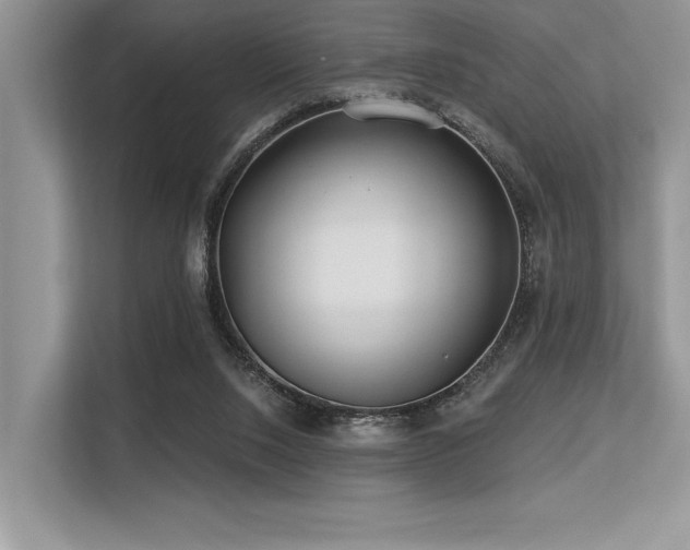 X0000113580064200909181315