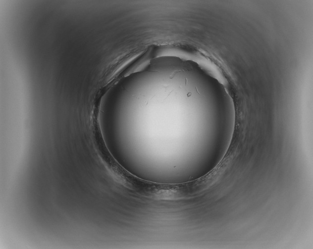 X0000113580066200909181315