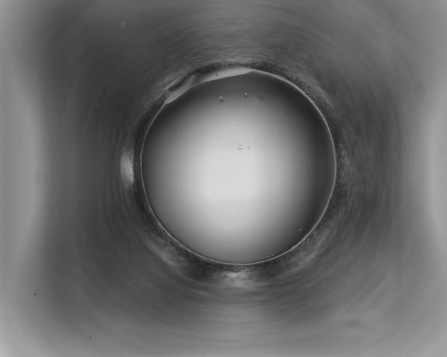 X0000113580068200909181315