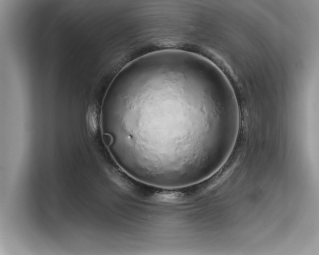 X0000113580069200909181315