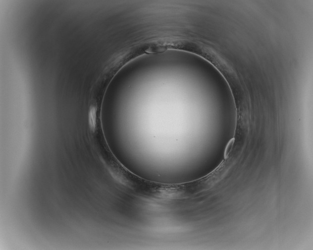 X0000113580070200909181315