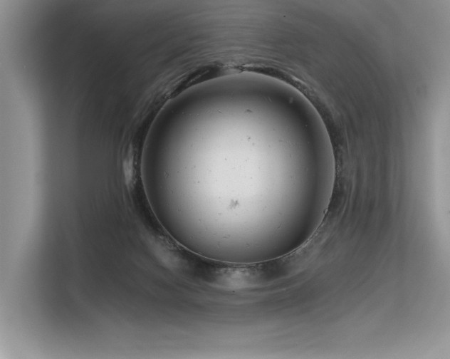 X0000113580074200909181315