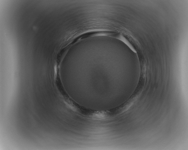 X0000113580076200909181315