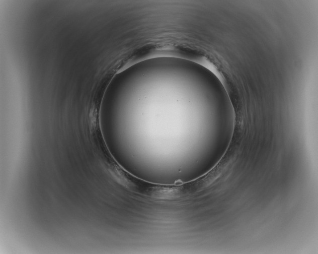 X0000113580081200909181316