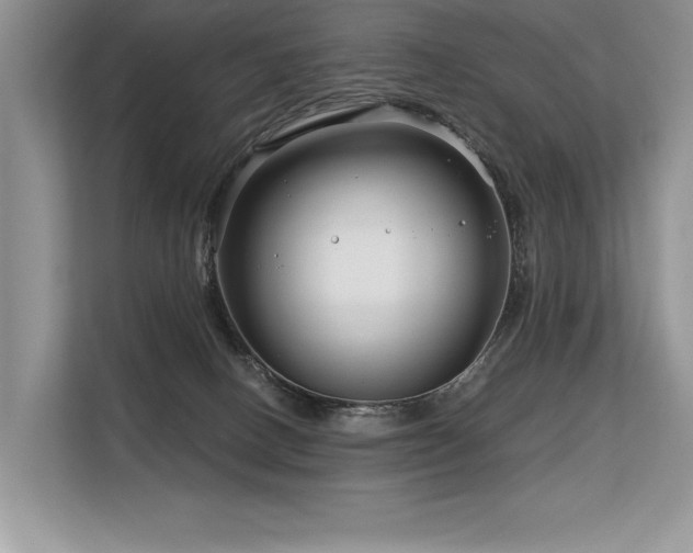 X0000113580082200909181316