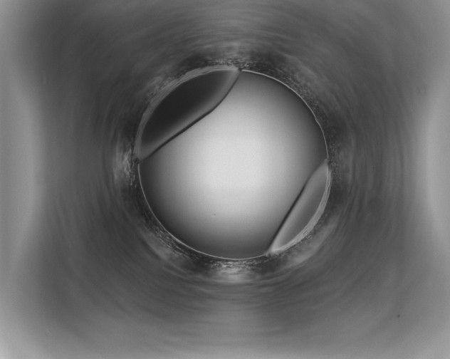 X0000113580088200909181316