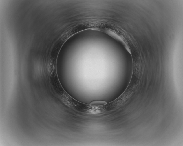 X0000113580091200909181316