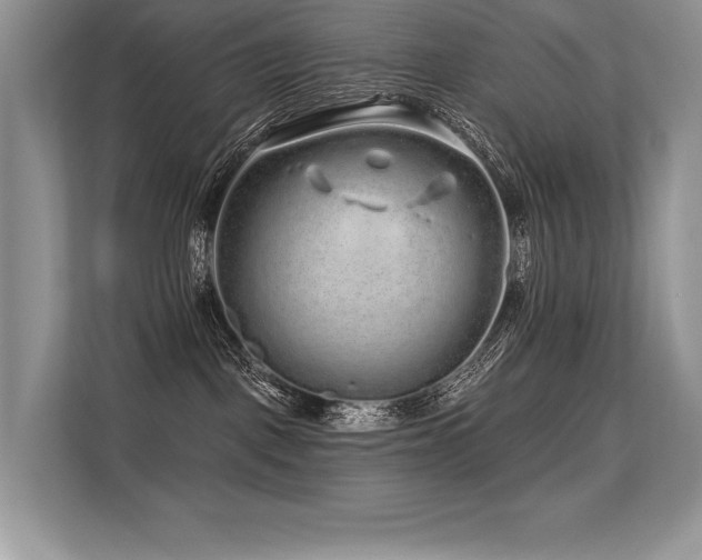 X0000113580093200909181316