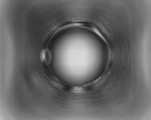 X0000113580095200909181316