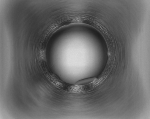 X0000113580096200909181316