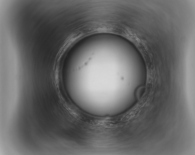 X0000113580098200909181315