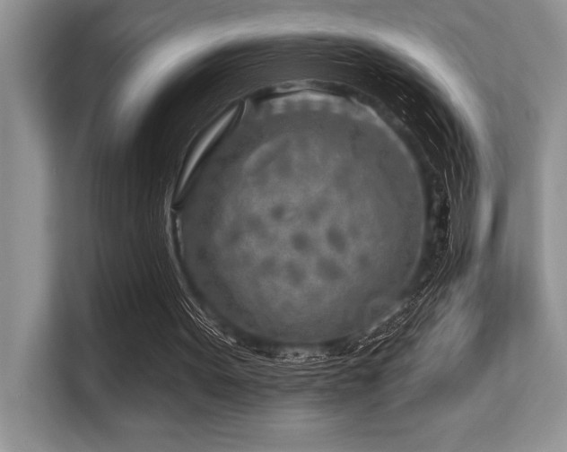 X0000113580099200909181315