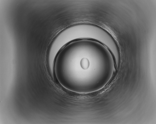 X0000113580105200909181315