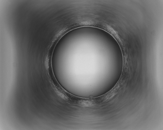 X0000113580106200909181315