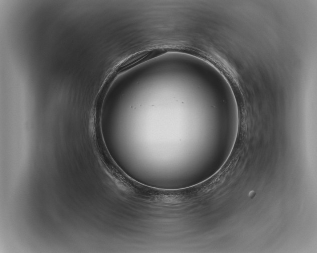 X0000113580107200909181315