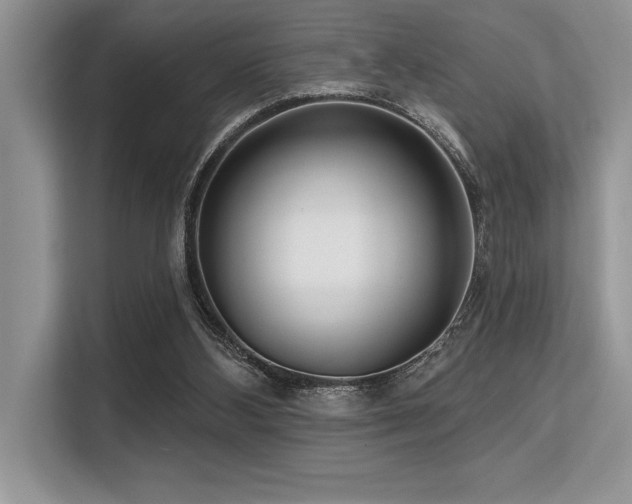 X0000113580108200909181315