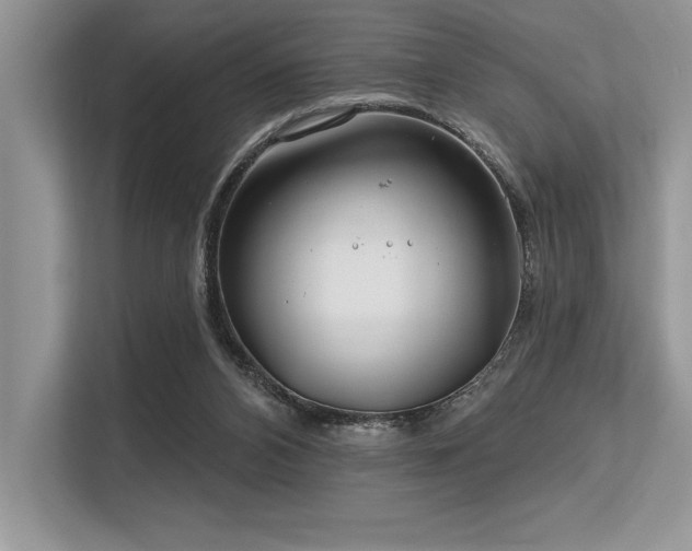 X0000113580112200909181315