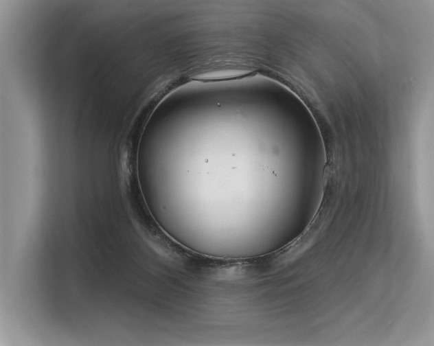 X0000113580116200909181315