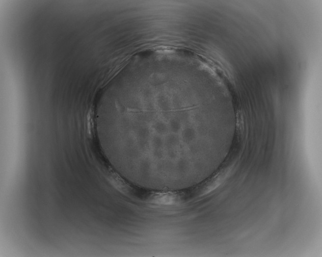 X0000113580127200909181315