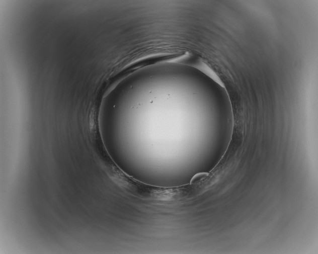 X0000113580131200909181315