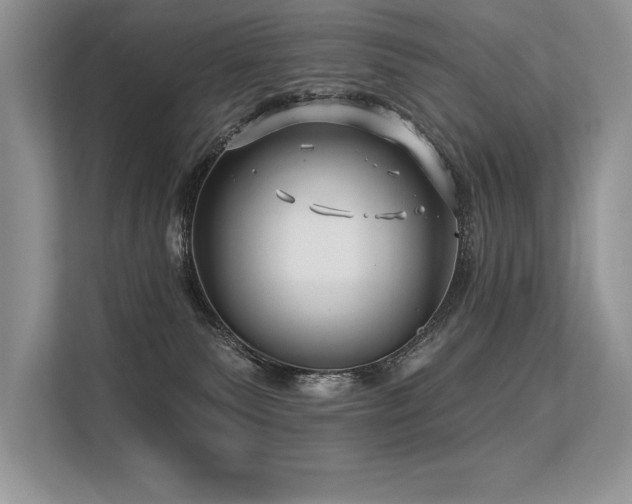 X0000113580135200909181315