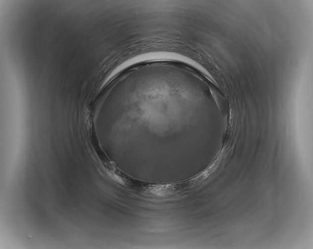 X0000113580136200909181315