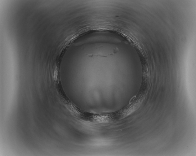 X0000113580139200909181315