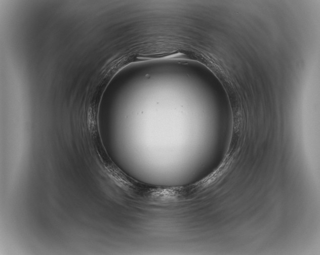 X0000113580140200909181315