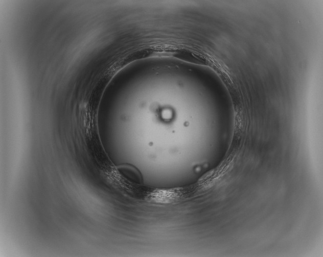 X0000113580141200909181315