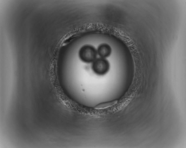 X0000113580144200909181315