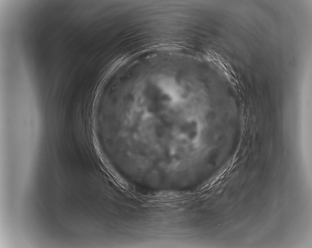 X0000113580145200909181314