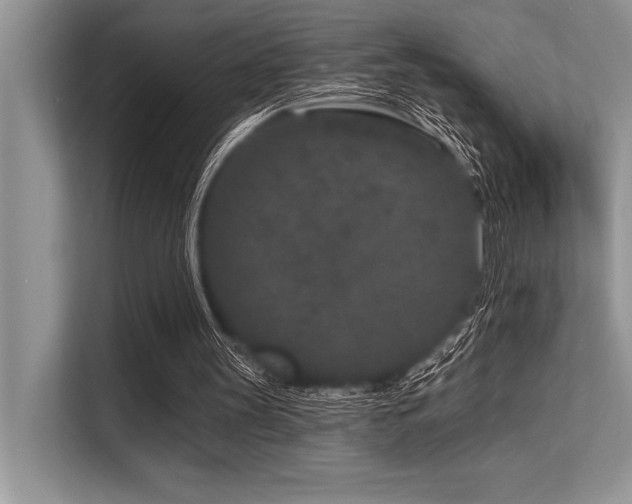 X0000113580147200909181314