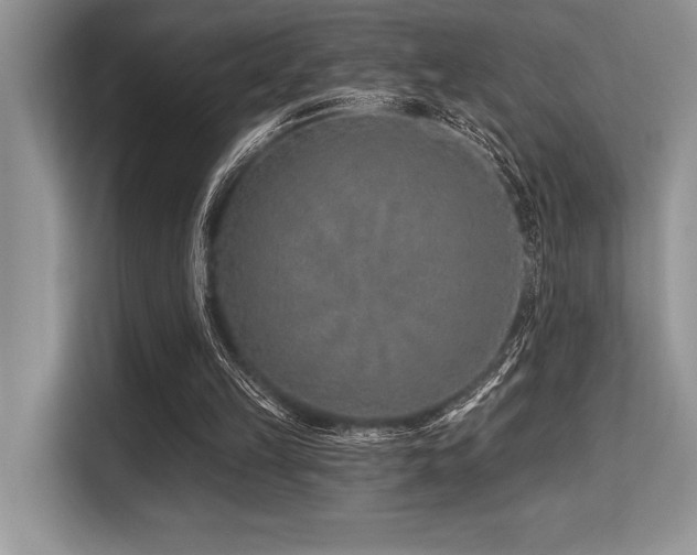 X0000113580149200909181314