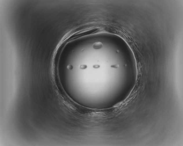 X0000113580150200909181314