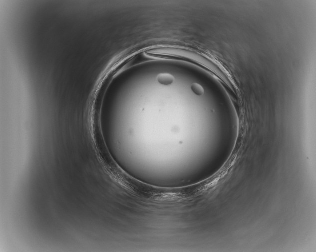 X0000113580151200909181314