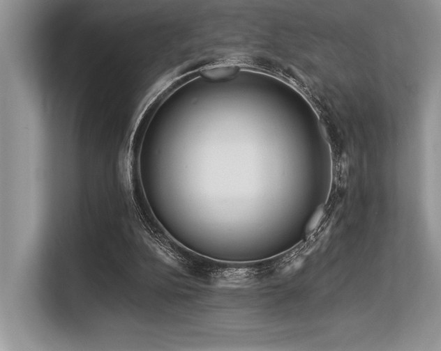 X0000113580152200909181314