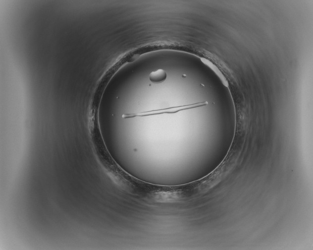 X0000113580160200909181314