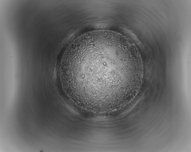 X0000113580161200909181314