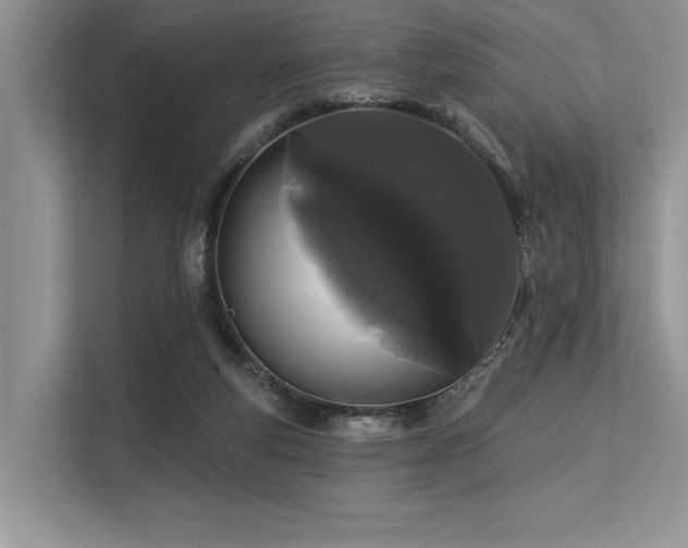 X0000113580163200909181314