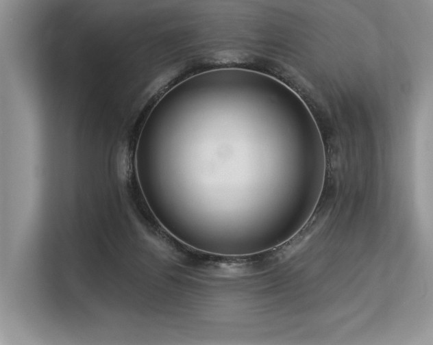 X0000113580164200909181314