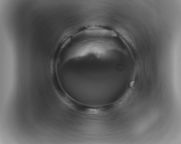 X0000113580167200909181314