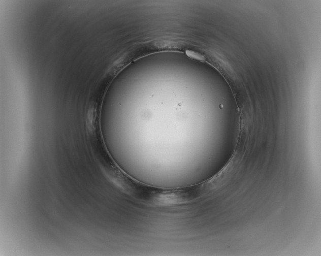 X0000113580171200909181314