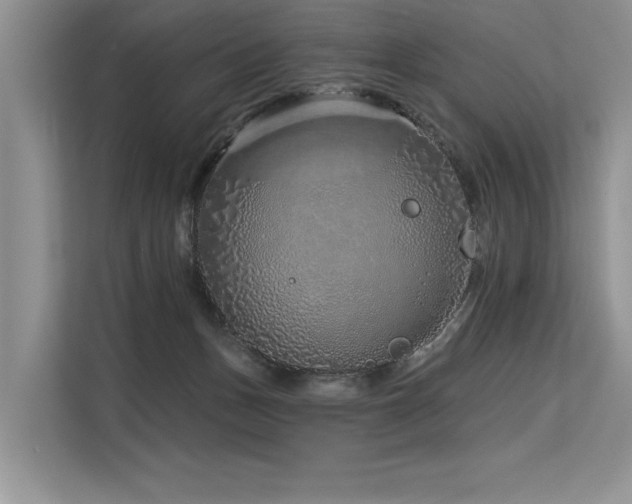 X0000113580175200909181314