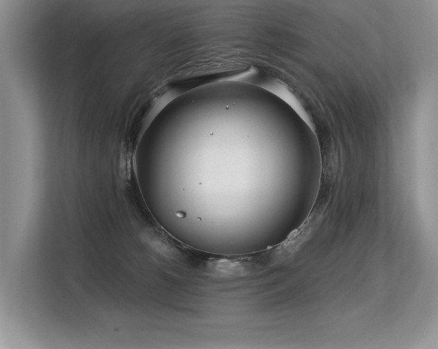 X0000113580180200909181314