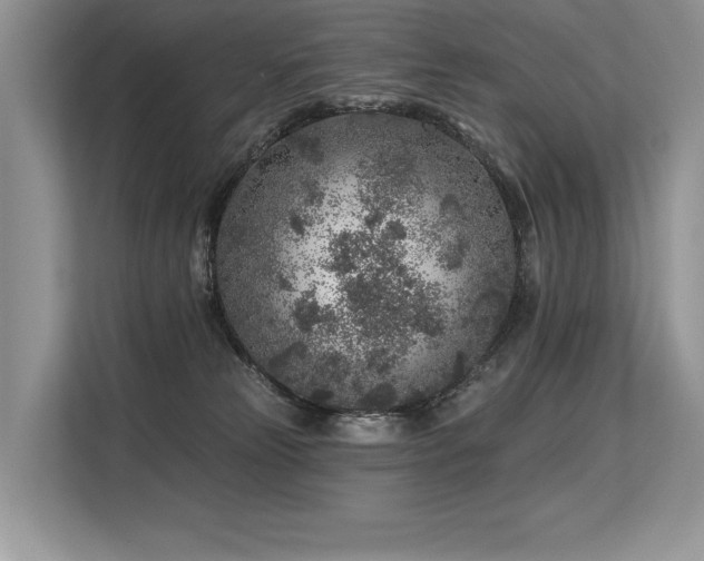 X0000113580181200909181314