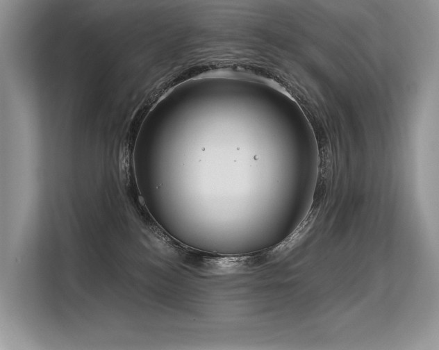 X0000113580184200909181314