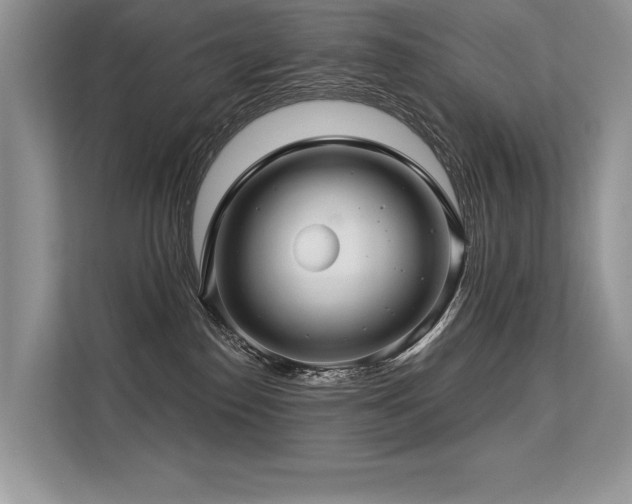 X0000113580186200909181314