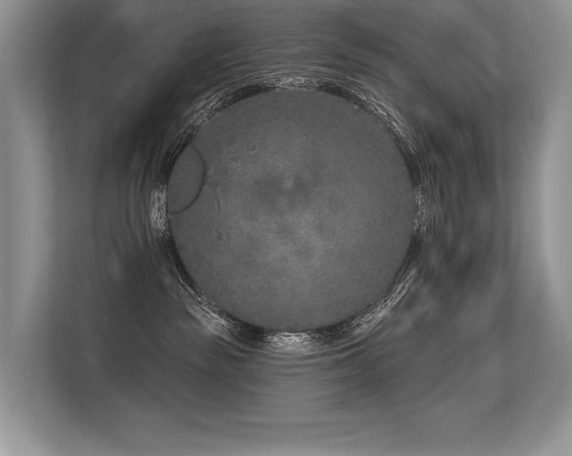 X0000113580189200909181314