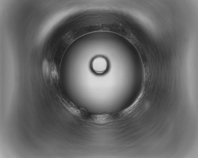 X0000113580191200909181314